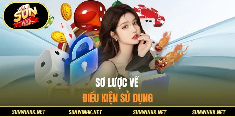 Sơ lược về điều kiện sử dụng
